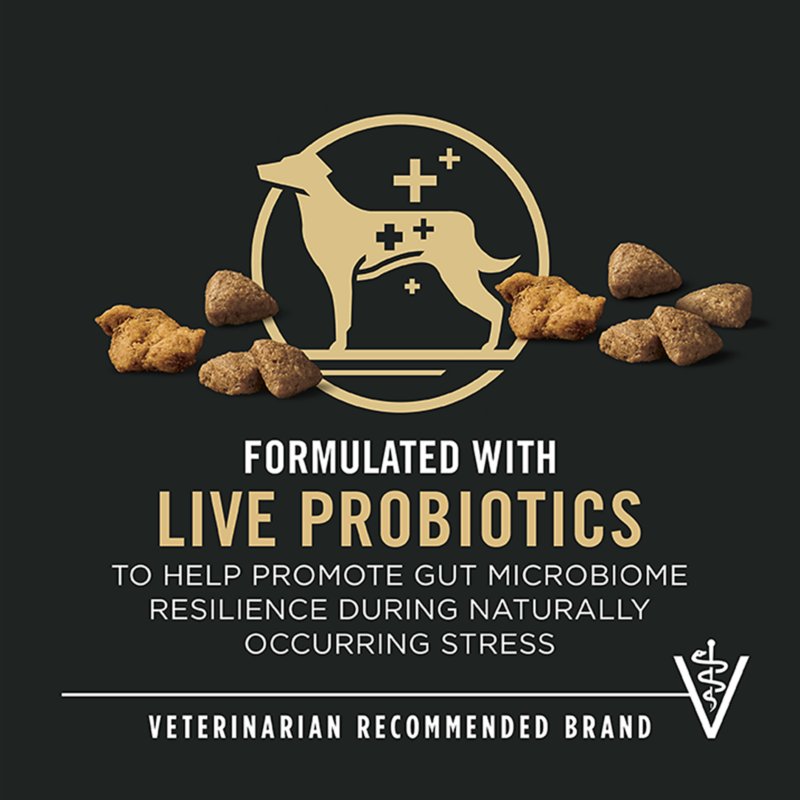 Purina® Pro Plan Complete Essentials Shredded Blend Adult Dry Dog Food - Chicken & Rice - Image 3