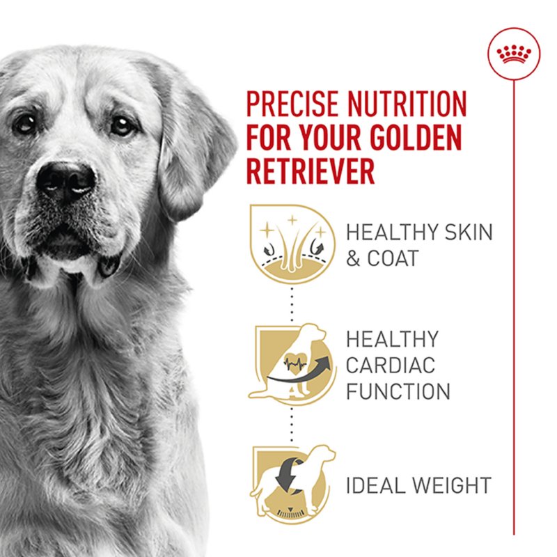 Royal Canin® Breed Health Nutrition® Golden Retriever Adult Dog Dry Food - Image 3