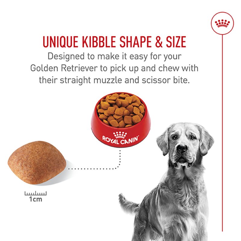 Royal Canin® Breed Health Nutrition® Golden Retriever Adult Dog Dry Food - Image 4