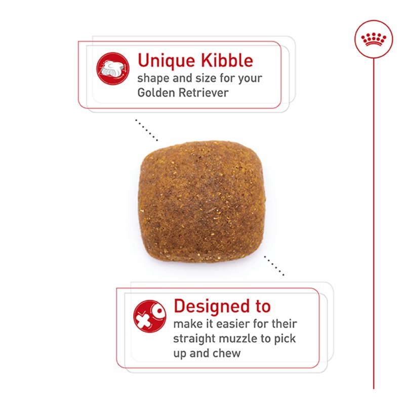 Royal Canin® Breed Health Nutrition® Golden Retriever Adult Dog Dry Food - Image 5