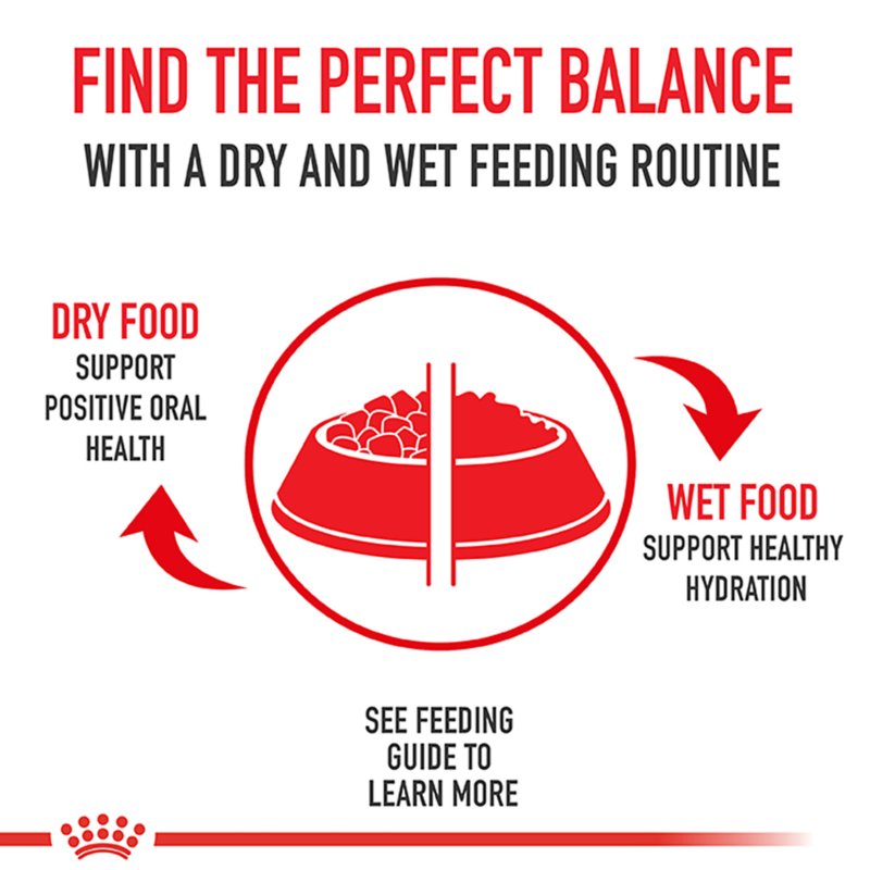 Royal Canin® Breed Health Nutrition® Golden Retriever Adult Dog Dry Food - Image 6