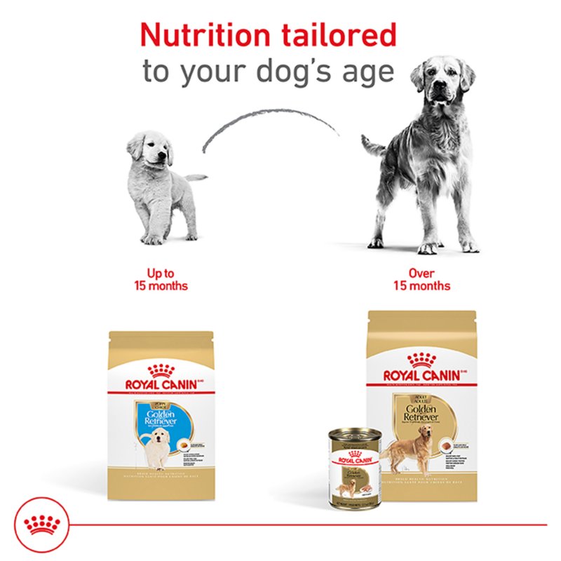 Royal Canin® Breed Health Nutrition® Golden Retriever Adult Dog Dry Food - Image 7