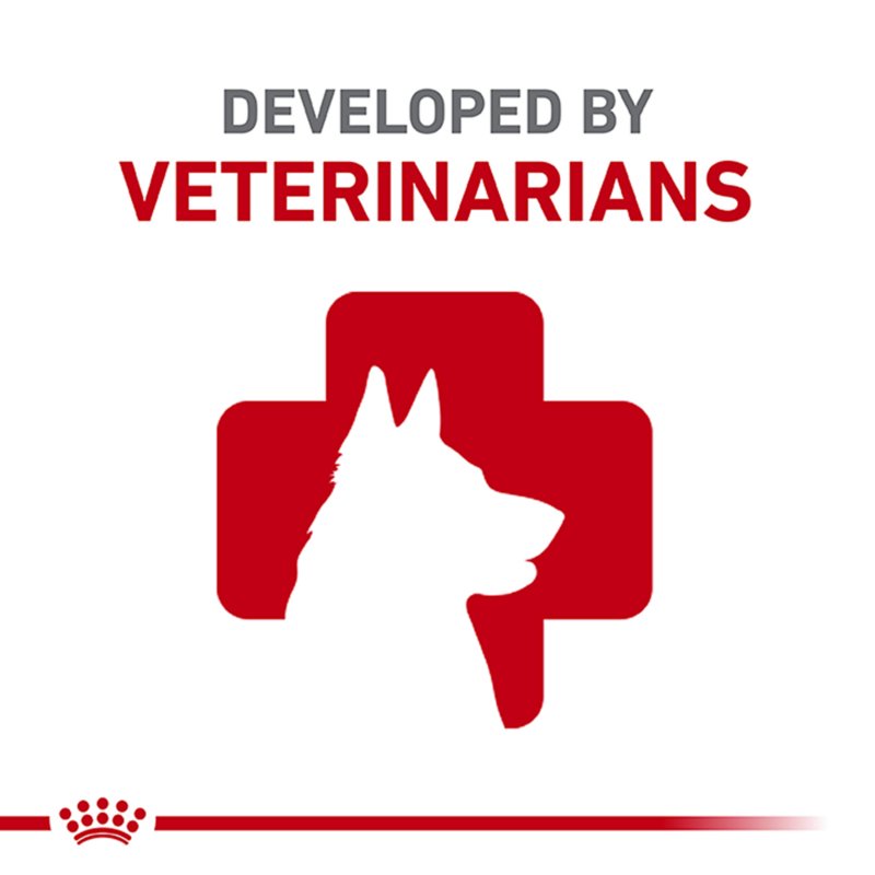 Royal Canin® Breed Health Nutrition® Golden Retriever Adult Dog Dry Food - Image 9