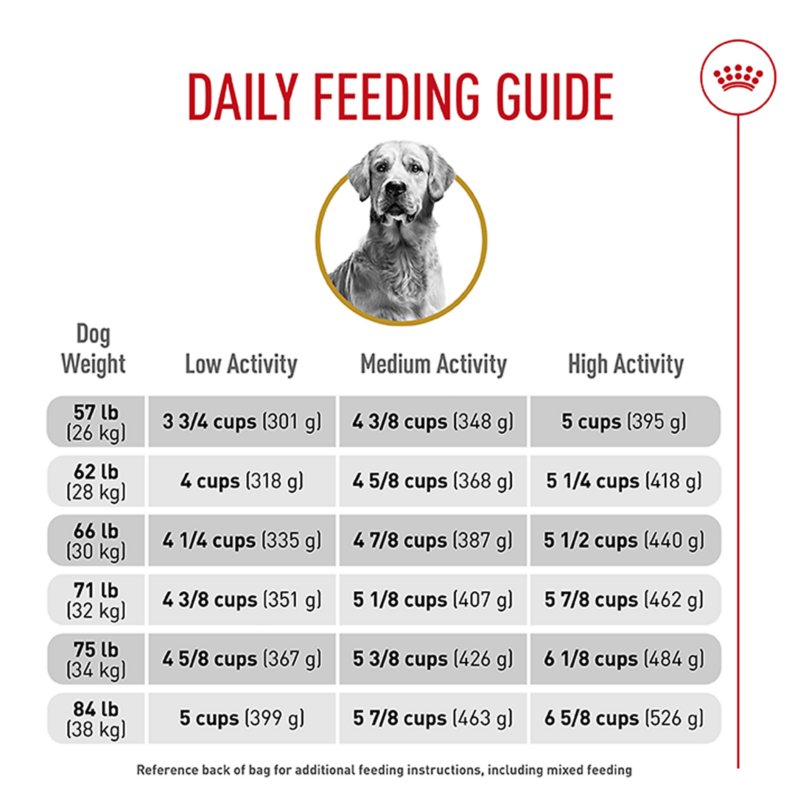 Royal Canin® Breed Health Nutrition® Golden Retriever Adult Dog Dry Food - Image 10
