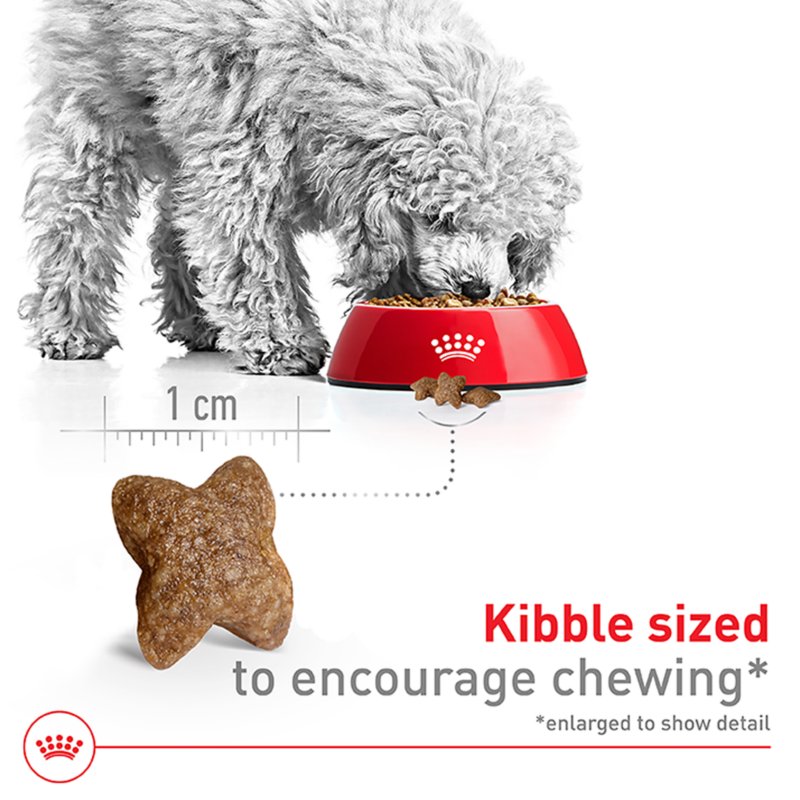Royal Canin Size Health Nutrition Small Breed Adult Dry Dog Food - Image 4