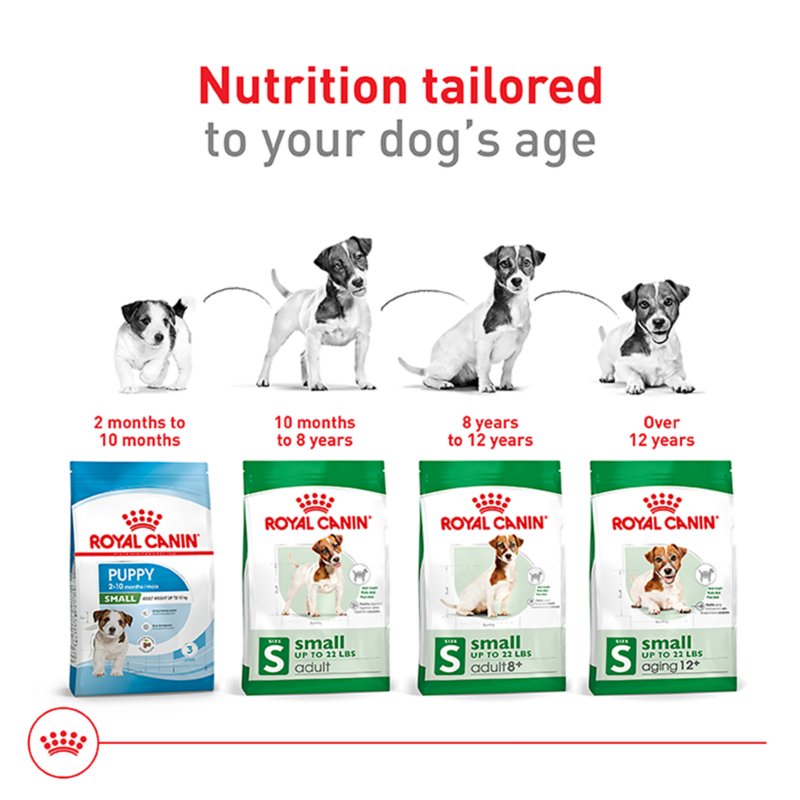 Royal Canin Size Health Nutrition Small Breed Adult Dry Dog Food - Image 6