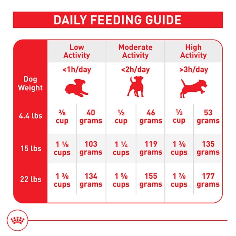 Royal Canin Size Health Nutrition Small Breed Adult Dry Dog Food - Image 9