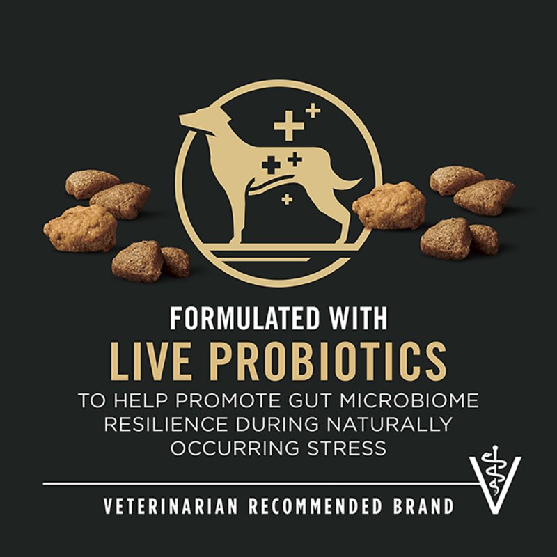 Purina Pro Plan Complete Essentials Shredded Blend Adult Dry Dog Food - Salmon & Rice - Image 3