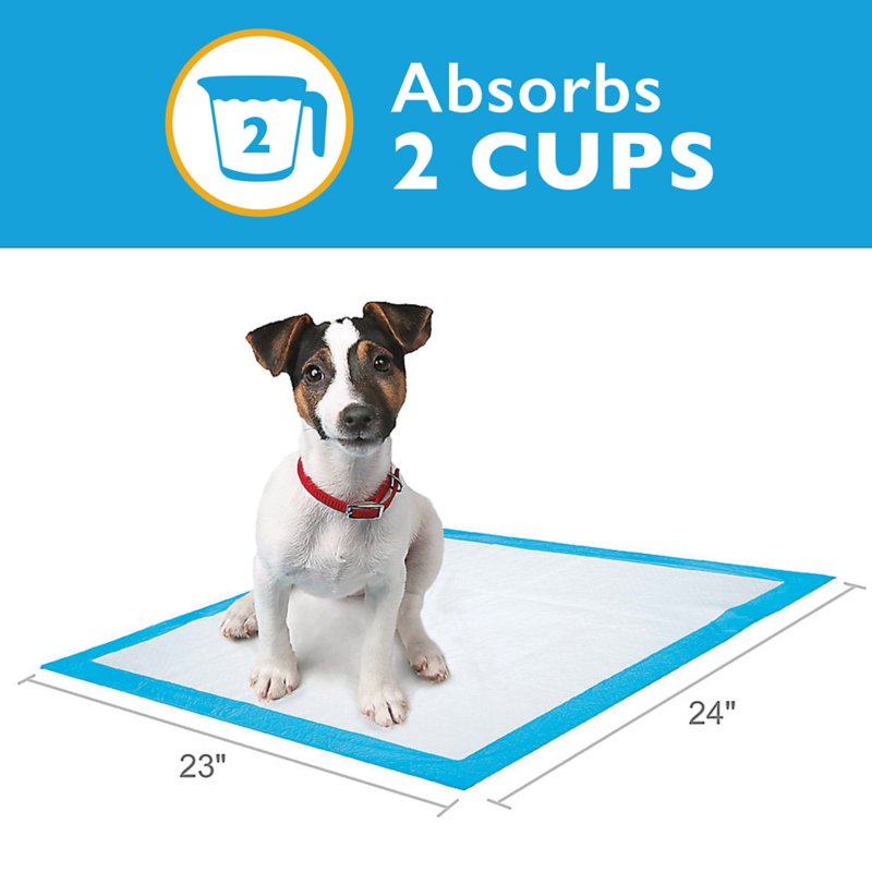 Great Choice® Regular Dog and Puppy Pee Pads, Potty Training, Unscented, 150 Count - Image 2