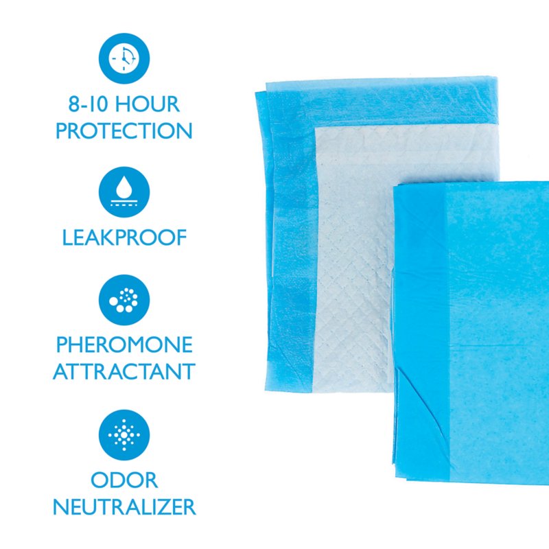 Great Choice® Regular Dog and Puppy Pee Pads, Potty Training, Unscented, 150 Count - Image 3