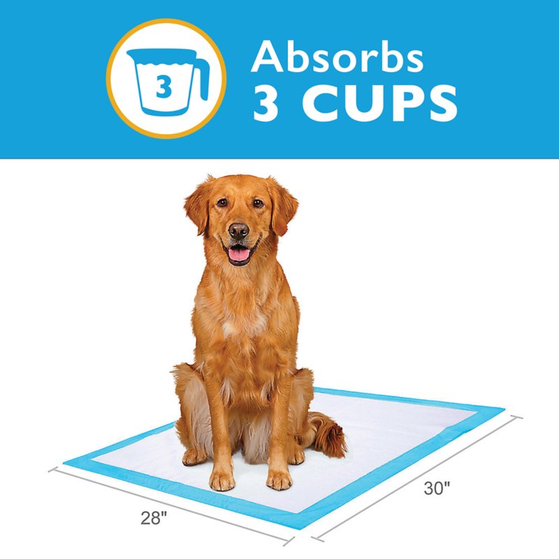 Great Choice® X-Large Dog and Puppy Pee Pads, Potty Training, Unscented, 150 Count - Image 2