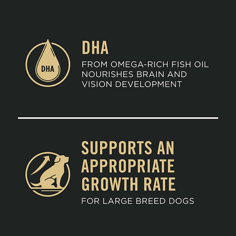 Purina Pro Plan Development Sensitive Skin & Stomach Large Breed Puppy Dry Dog Food - Salmon & Rice - Image 5