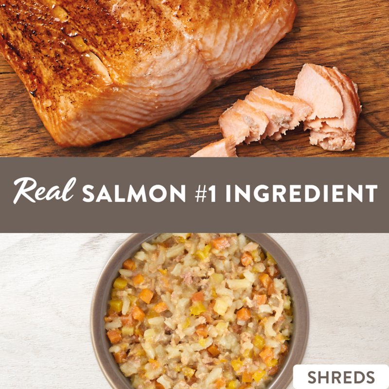 Simply Nourish Adult Wet Dog Food - Salmon, Chicken & Rice Stew, 10 oz - Image 2