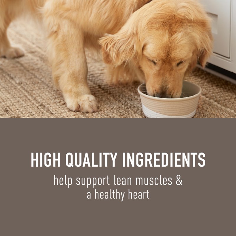 Simply Nourish Adult Wet Dog Food - Salmon, Chicken & Rice Stew, 10 oz - Image 3
