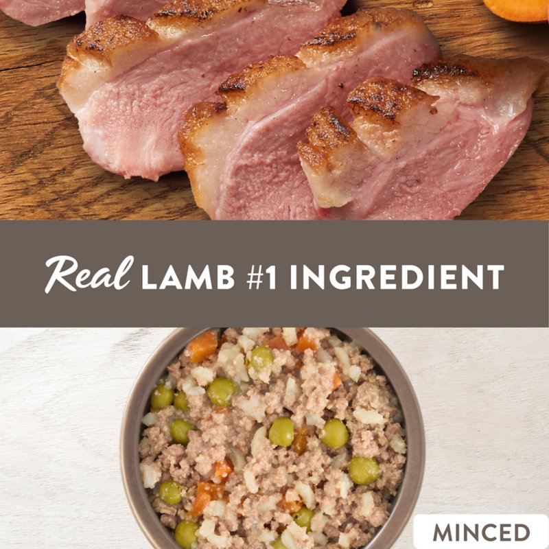 Simply Nourish Adult Wet Dog Food - Lamb & Vegetable in Broth, 10 oz - Image 2