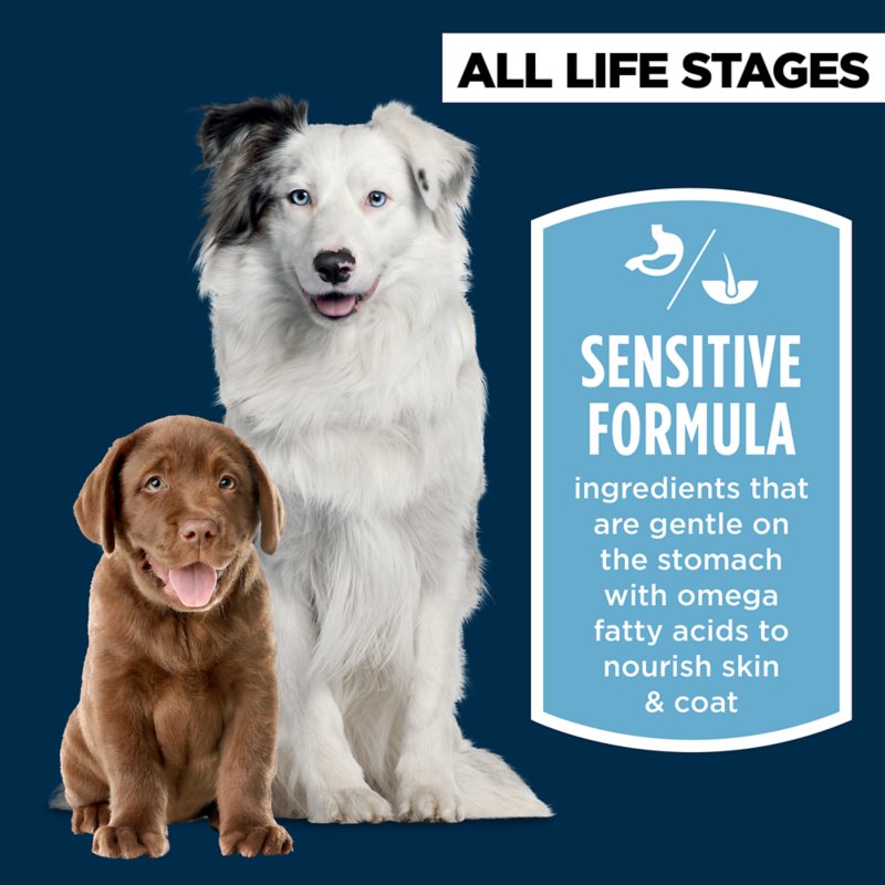 Authority® Sensitive Stomach & Skin All Life Stages Dry Dog Food - Salmon & Rice - Image 3