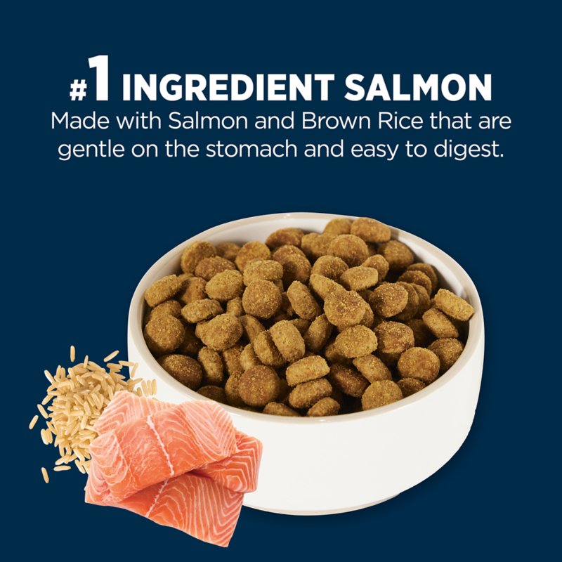 Authority® Sensitive Stomach & Skin All Life Stages Dry Dog Food - Salmon & Rice - Image 4
