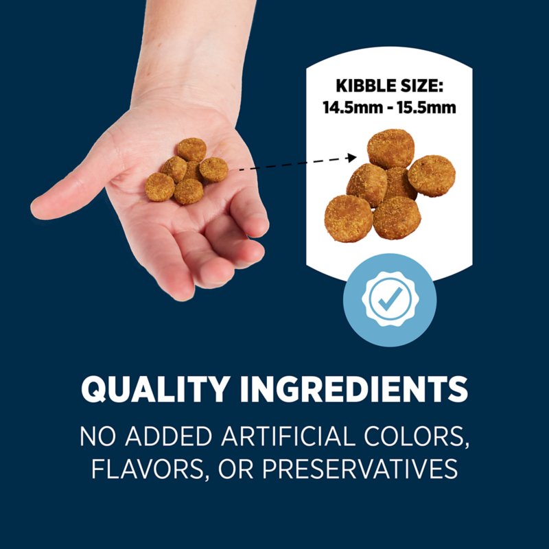 Authority® Sensitive Stomach & Skin All Life Stages Dry Dog Food - Salmon & Rice - Image 5