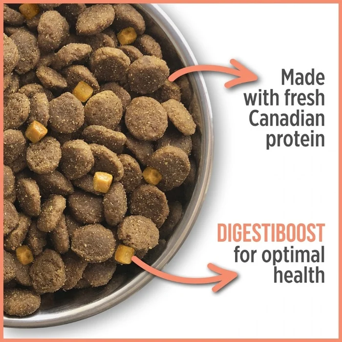 Nutrience Care Sensitive Skin & Stomach Dog Food - Salmon & Pumpkin Recipe - Image 4