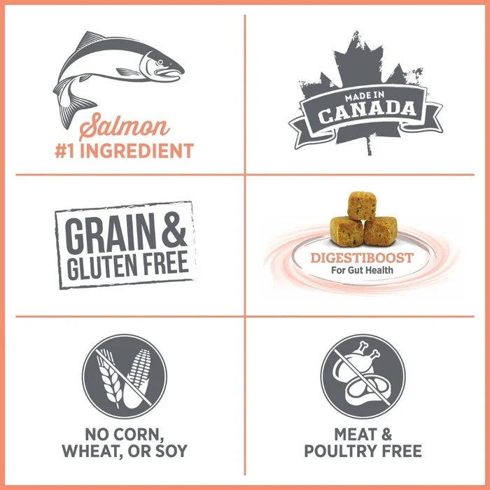 Nutrience Care Sensitive Skin & Stomach Dog Food - Salmon & Pumpkin Recipe - Image 6