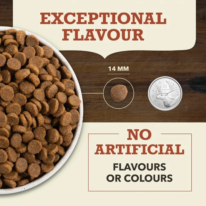 Acana Singles Limited Ingredient Diet Dry Dog Food - Beef with Pumpkin Recipe - Image 5