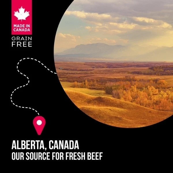 Nutrience SubZero High Protein Large Breed Dog Food - Prairie Red - Image 4