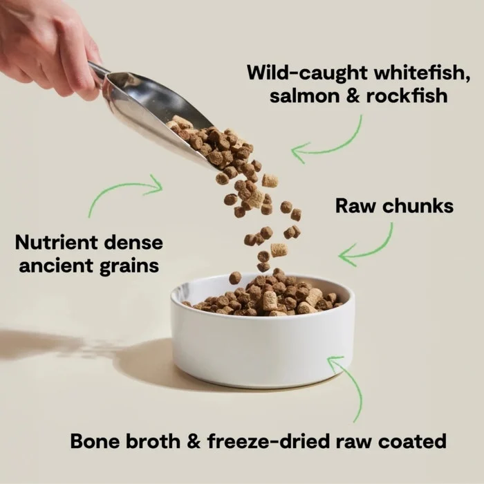 Open Farm RawMix Ancient Grains Dry Dog Food - Wild Ocean Recipe - Image 3