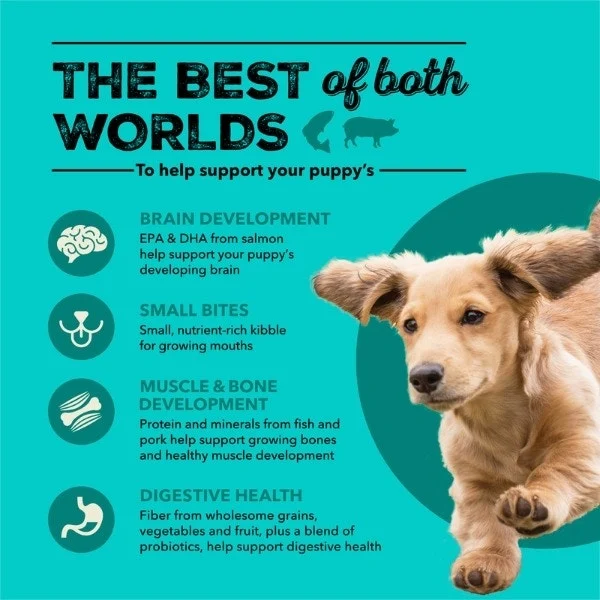 Acana Healthy Grains Sea to Farm Puppy Food - Image 4