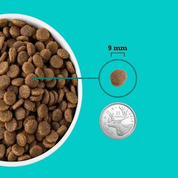 Acana Healthy Grains Sea to Farm Puppy Food - Image 5