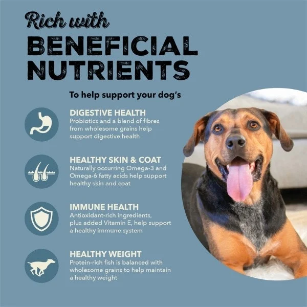 Acana Healthy Grains Dry Dog Food - Sea to Stream Recipe - Image 3