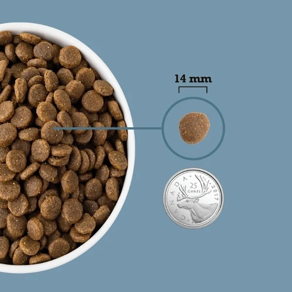 Acana Healthy Grains Dry Dog Food - Sea to Stream Recipe - Image 5