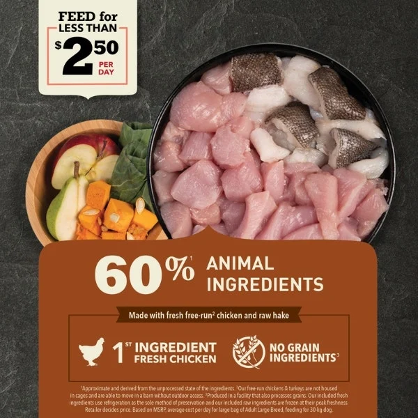 Acana Dry Food for Large Breed Adult Dogs - Image 3