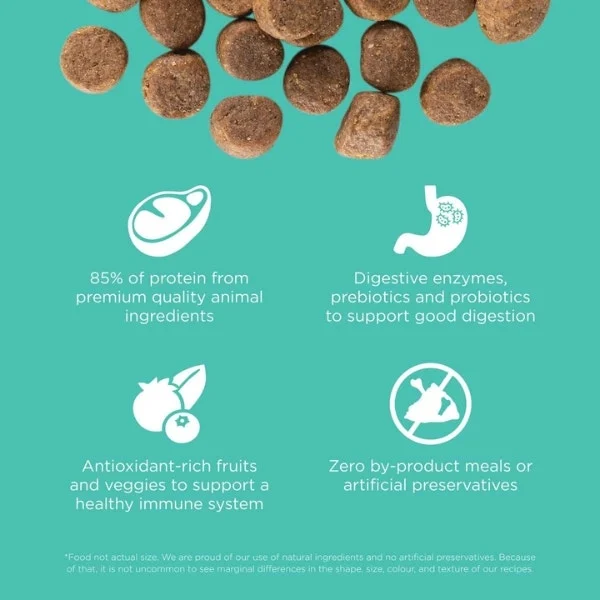 Go! Solutions Carnivore Grain-Free Dry Food for Adult Dogs - Chicken, Turkey, & Duck Recipe - Image 2
