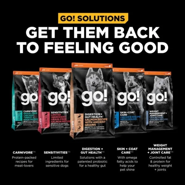 Go! Solutions Digestion + Gut Health Dry Food for Dogs - Salmon with Ancient Grains Recipe - Image 5