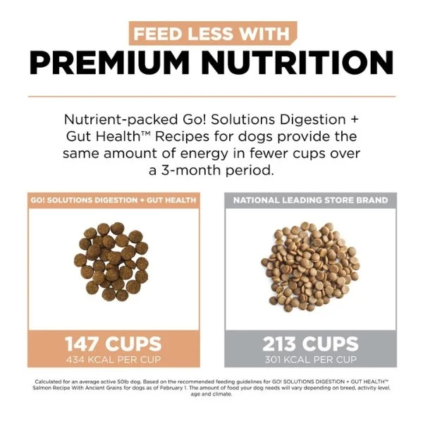Go! Solutions Digestion + Gut Health Dry Food for Dogs - Salmon with Ancient Grains Recipe - Image 4