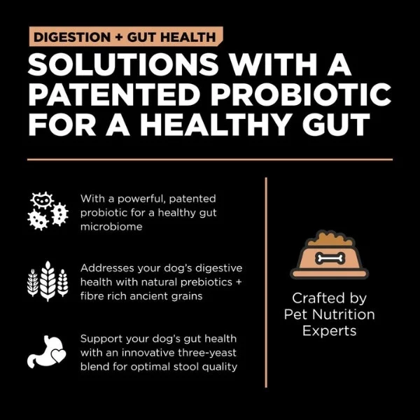 Go! Solutions Digestion + Gut Health Dry Food for Dogs - Salmon with Ancient Grains Recipe - Image 3