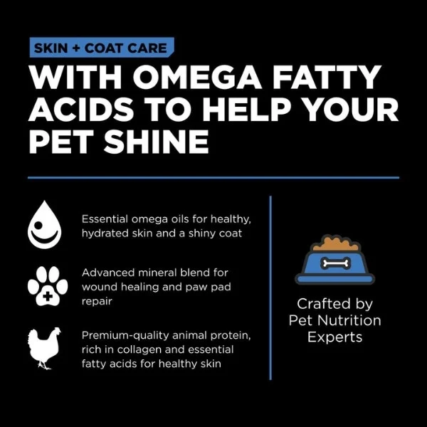 Go! Solutions Skin + Coat Care Dry Food for Dogs - Chicken Recipe with Grains - Image 3