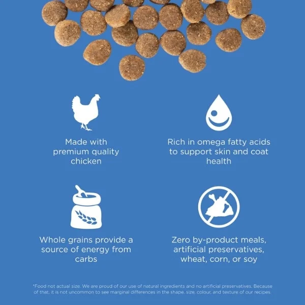 Go! Solutions Skin + Coat Care Dry Food for Dogs - Chicken Recipe with Grains - Image 2
