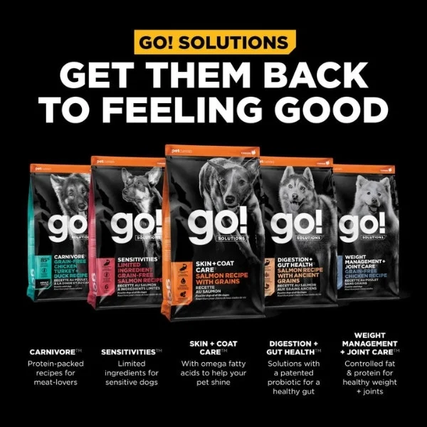 Go! Solutions Skin + Coat Care Dry Food for Dogs - Salmon Recipe with Grains - Image 6