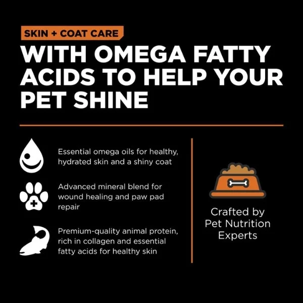 Go! Solutions Skin + Coat Care Dry Food for Dogs - Salmon Recipe with Grains - Image 3