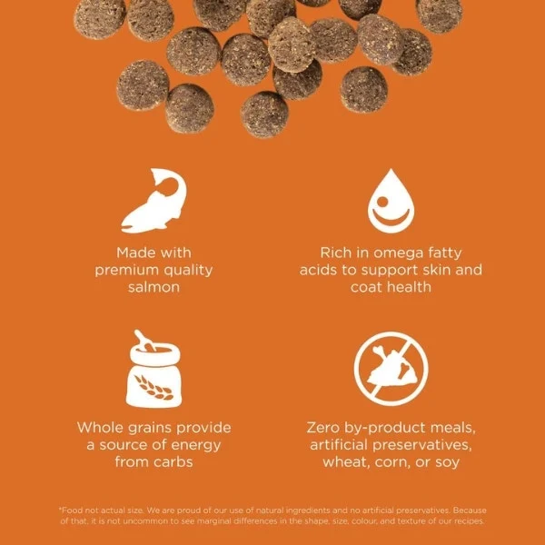 Go! Solutions Skin + Coat Care Dry Food for Dogs - Salmon Recipe with Grains - Image 2