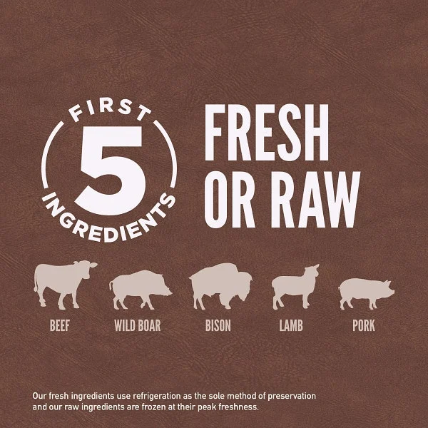 Orijen Regional Red Dog Food - Image 4