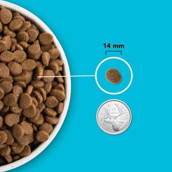 Acana Highest Protein Dry Dog Food - Pacifica Recipe - Image 5