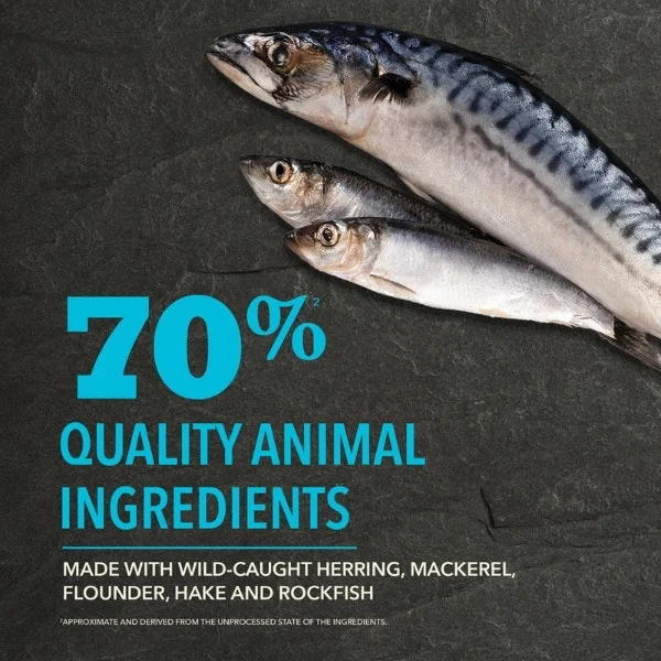 Acana Highest Protein Dry Dog Food - Pacifica Recipe - Image 4