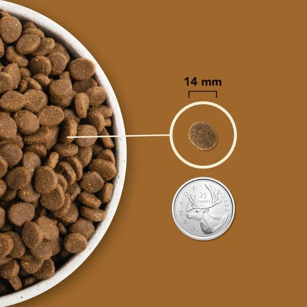 Acana Highest Protein Dry Dog Food - Ranchlands Recipe - Image 5