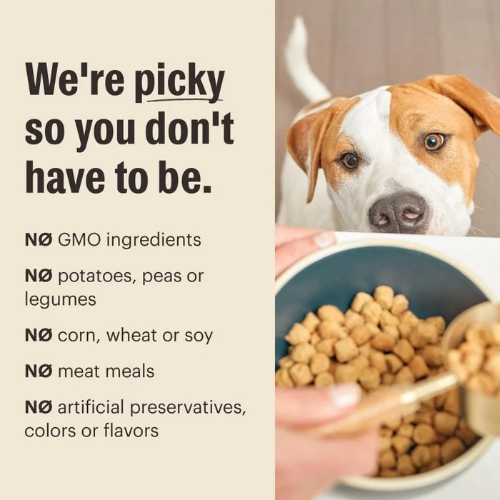 The Honest Kitchen Whole Grain Whole Food Clusters for Dogs - Beef & Oat Recipe - Image 6