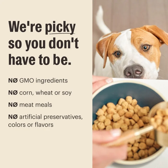 The Honest Kitchen Whole Food Whole Grain Clusters for Dogs - Lamb & Superfoods Recipe - Image 5