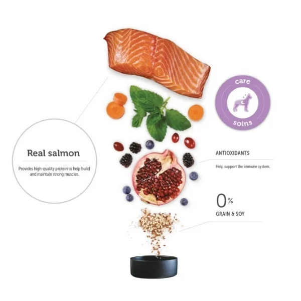 Vetdiet Dry Food for Adult Dogs - Skin & Stomach Health - Salmon & Pea Formula - Image 4