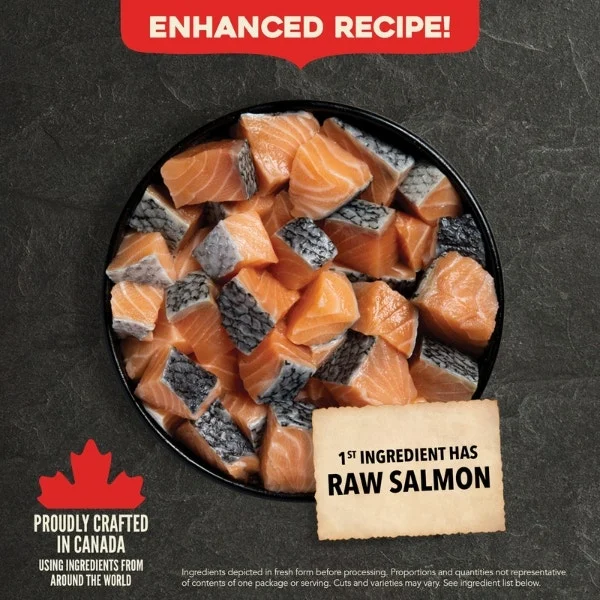 Acana Classics Dry Dog Food - Wild Coast Recipe - Image 3